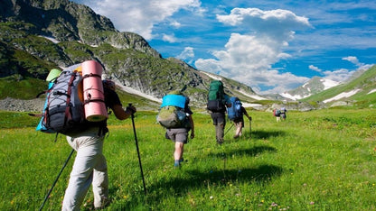 Bețe telescopice de trekking Nordic Walking (4717)