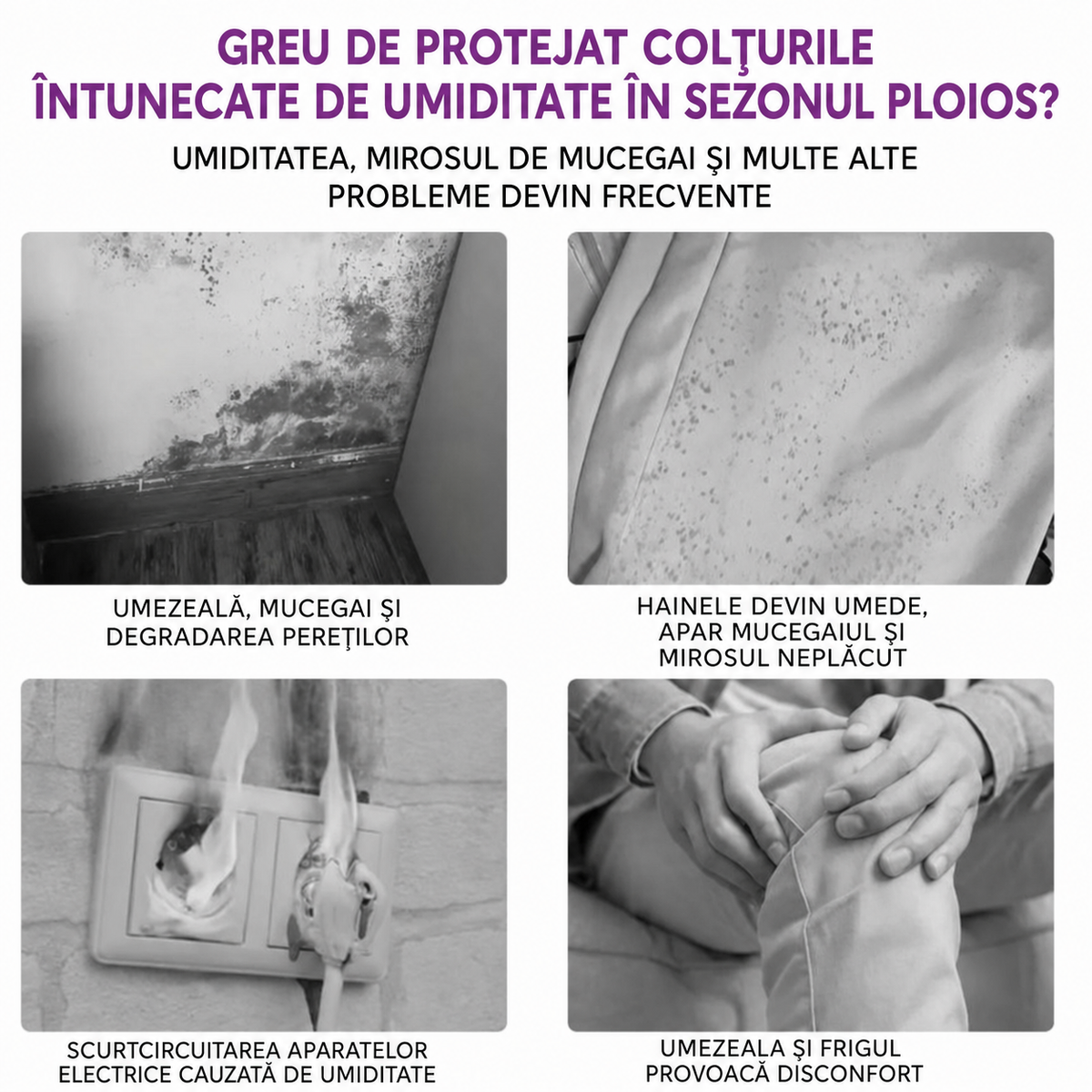 Dezumidificator suspendat pentru dulap și casă, set 10 buc. (94440001)