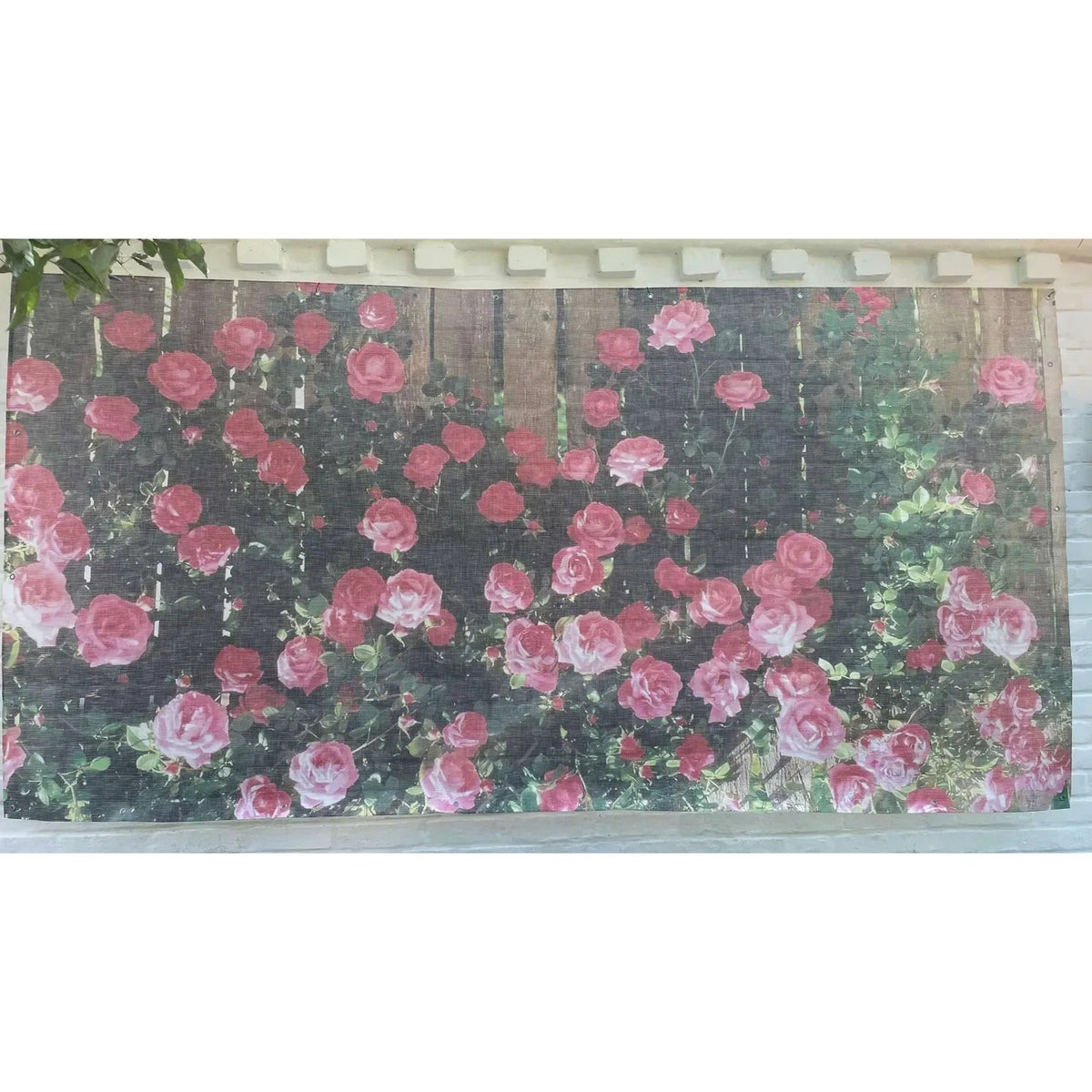 Fototapet exterior pentru grădină, model Trandafiri (82780001)