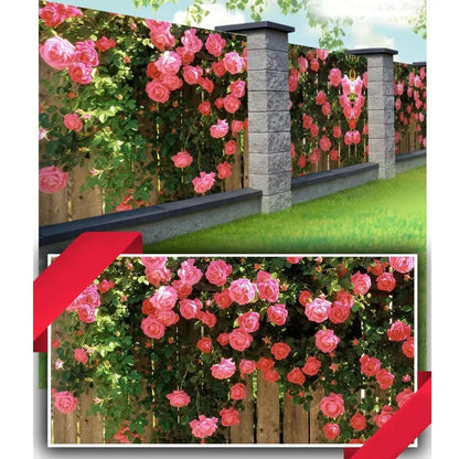 Fototapet exterior pentru grădină, model Trandafiri (82780001)