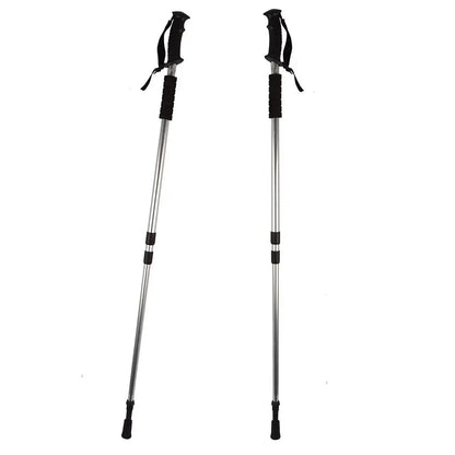 Bețe telescopice de trekking Nordic Walking (4717)