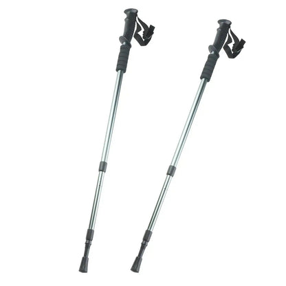 Bețe telescopice de trekking Nordic Walking (4717)