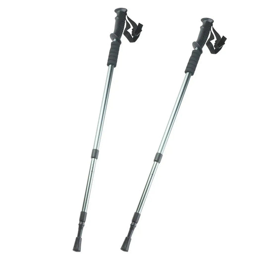 Bețe telescopice de trekking Nordic Walking (4717)